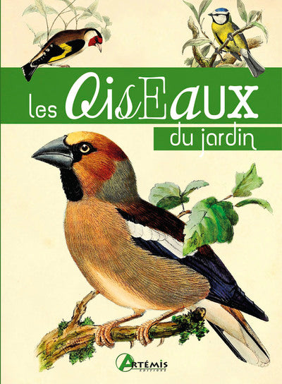Les oiseaux du jardin