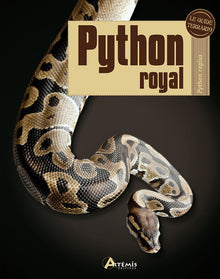 Python royal