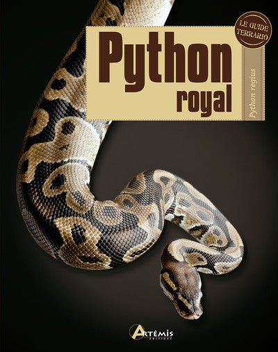 Python royal