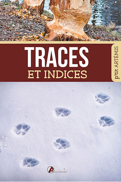 Traces et indices