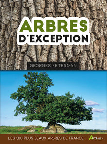 Arbres d'exception