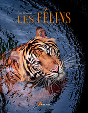 Les félins