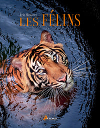 Les félins