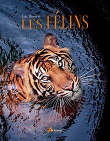 Les félins