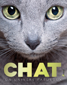 Chat, un univers fabuleux