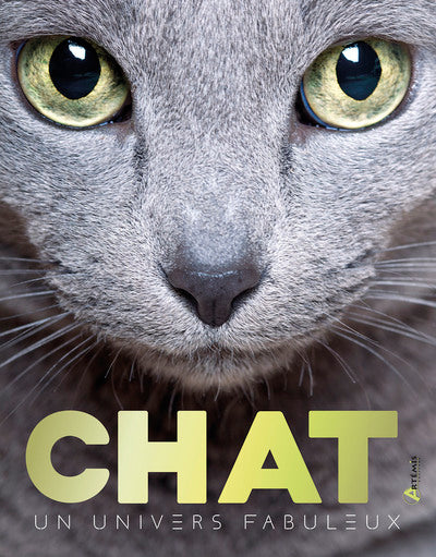 Chat, un univers fabuleux