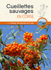 Cueillettes sauvages en Corse