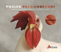 Poules passionnément