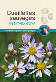 Cueillettes sauvages en Normandie