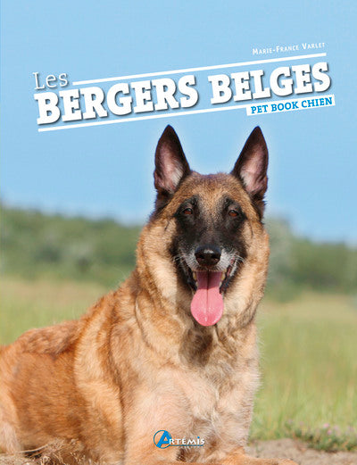 Les bergers belges