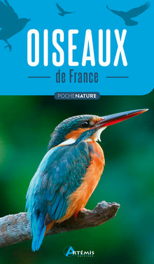 Oiseaux de France