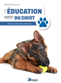 L'éducation positive du chiot