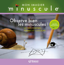 Lettres, chiffres, formes et couleurs