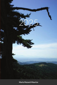 2025