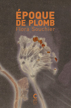 Époque de plomb