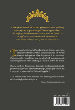 Le royaume perdu d'Erin - Tome 1
