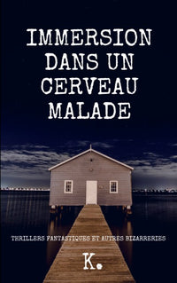 Immersion dans un Cerveau Malade