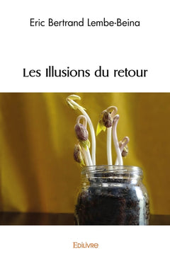 Les Illusions du retour