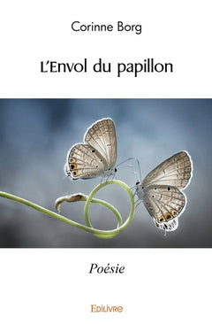 L'envol du papillon