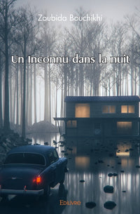Un inconnu dans la nuit
