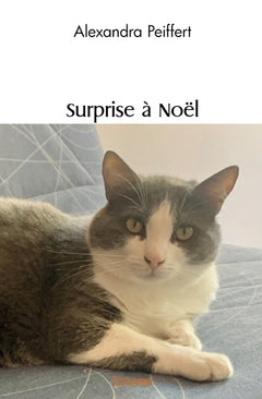 Surprise à Noël
