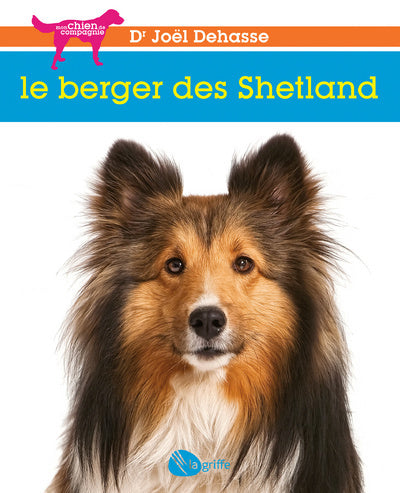 Le berger des Shetland