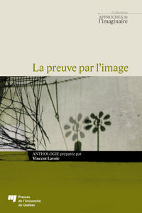 La preuve par l'image