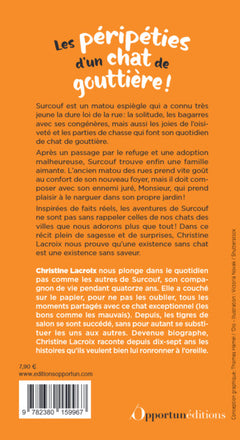 Les fantastiques aventures de Surcouf