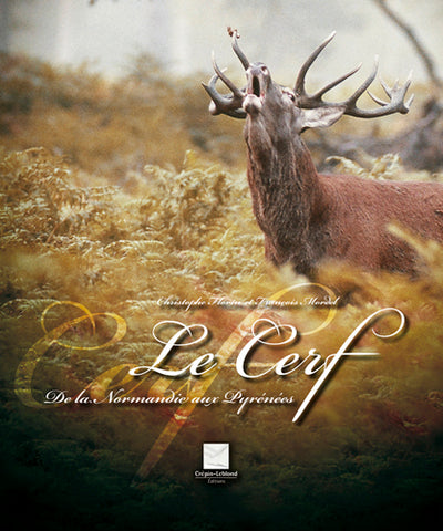 LE CERF DE LA NORMANDIE AUX PYRENEES