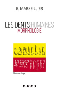 Les dents humaines - Morphologie