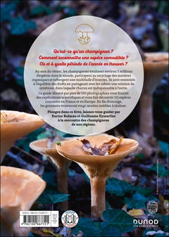 A la découverte des champignons