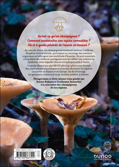 A la découverte des champignons
