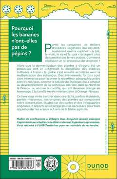 Pourquoi les bananes n'ont-elles pas de pépins ?