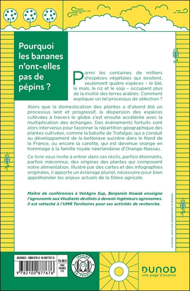Pourquoi les bananes n'ont-elles pas de pépins ?