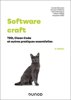Software craft