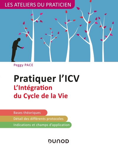 Pratiquer l'ICV - 2e éd. - L'Intégration du Cycle de la Vie