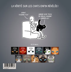 Best of Putain de chat