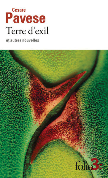 Terre d'exil et autres nouvelles