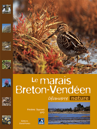 Le marais Breton-Vendéen