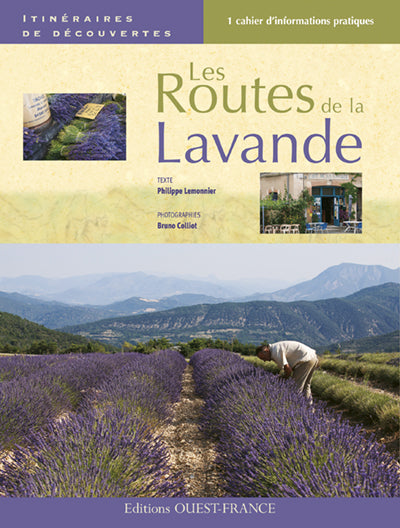 Les routes de la lavande