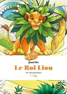 Grand bloc coloriages Roi Lion