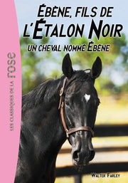 Un cheval nommé Ébène