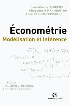 Économétrie - Modélisation et inférence
