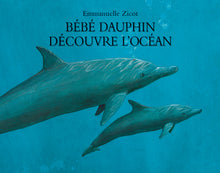 Bébé dauphin découvre l'océan