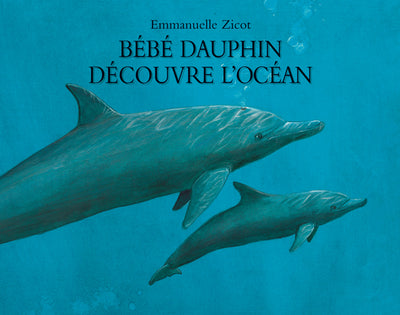 Bébé dauphin découvre l'océan