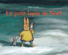 Le petit lapin de Noël