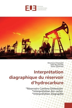 Interprétation diagraphique du réservoir d'hydrocarbure