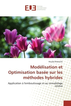 Modélisation et optimisation basée sur les méthodes hybrides