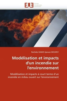 Modélisation et impacts d'un incendie sur l'environnement