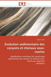 Evolution sédimentaire des canyons et chenaux sous-marins